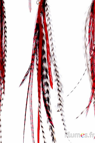 Pendentif Coq Léon - 25 cm - rouge